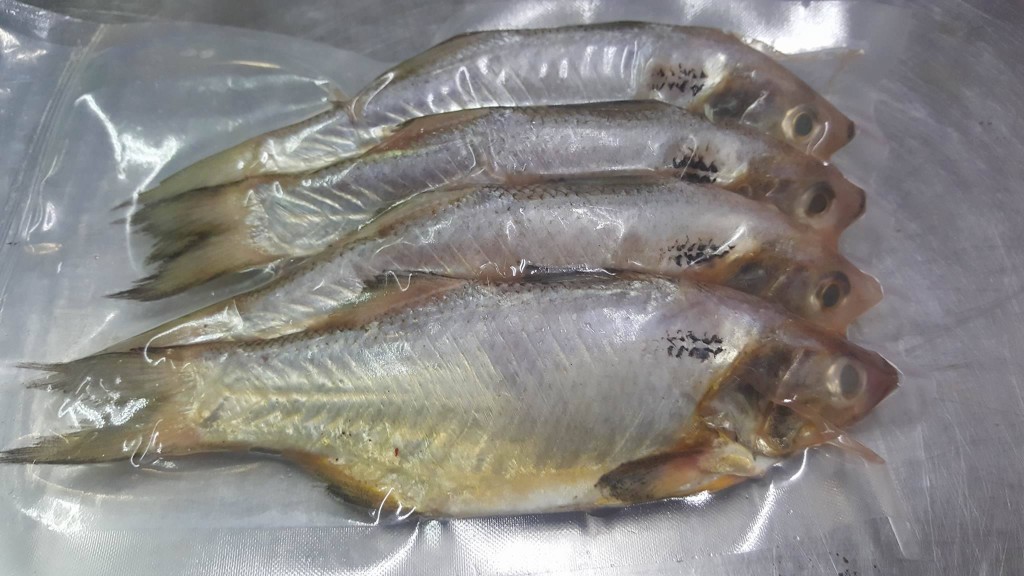 野生午仔鱼(6尾装*限量商品*