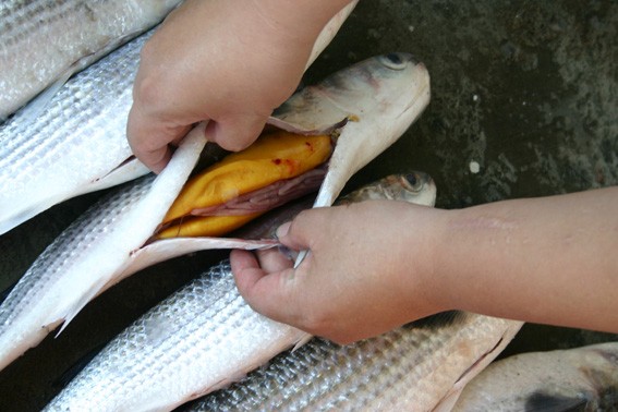 鲜味工坊乌鱼子的制成